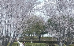 天美传媒兄妹作品的女演员有哪些